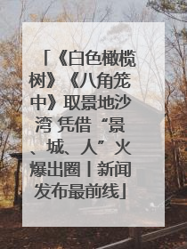 《白色橄榄树》《八角笼中》取景地沙湾 凭借“景、城、人”火爆出圈丨新闻发布最前线