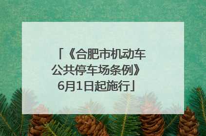 《合肥市机动车公共停车场条例》6月1日起施行