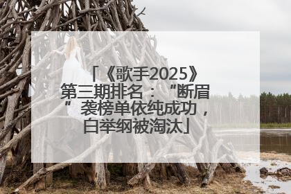《歌手2025》第三期排名：“断眉”袭榜单依纯成功，白举纲被淘汰