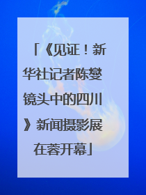 《见证！新华社记者陈燮镜头中的四川》新闻摄影展在蓉开幕