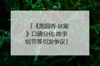 《酱园弄·悬案》口碑分化 故事情节等引发争议