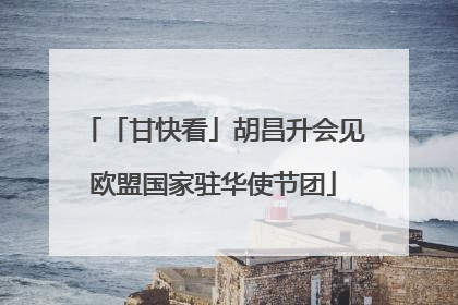 「甘快看」胡昌升会见欧盟国家驻华使节团