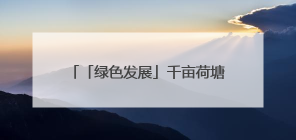 「绿色发展」千亩荷塘 十年新生｜四任航空村官的“生态接力”