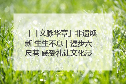 「文脉华章」非遗焕新 生生不息｜漫步六尺巷 感受礼让文化浸润的“巷”往生活