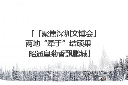「聚焦深圳文博会」两地“牵手”结硕果 昭通皇菊香飘鹏城