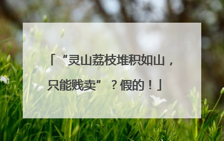 “灵山荔枝堆积如山，只能贱卖”？假的！