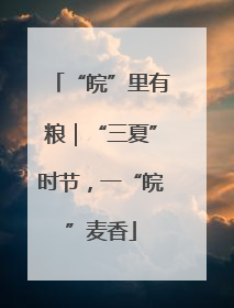 “皖”里有粮｜“三夏”时节，一“皖”麦香