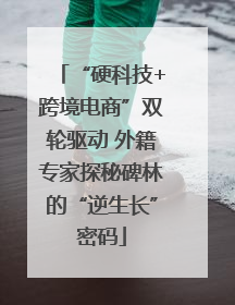 “硬科技+跨境电商”双轮驱动 外籍专家探秘碑林的“逆生长”密码