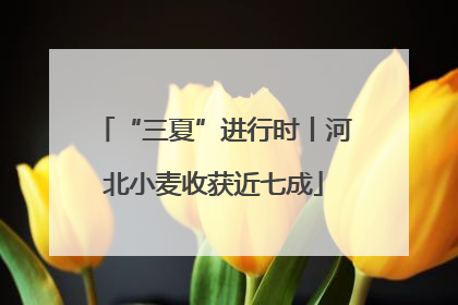 “三夏”进行时丨河北小麦收获近七成
