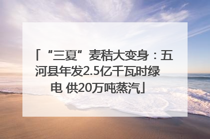 “三夏”麦秸大变身：五河县年发2.5亿千瓦时绿电 供20万吨蒸汽
