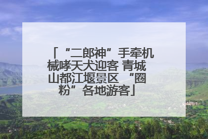 “二郎神”手牵机械哮天犬迎客 青城山都江堰景区 “圈粉”各地游客