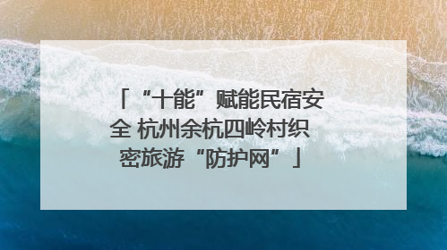 “十能”赋能民宿安全 杭州余杭四岭村织密旅游“防护网”
