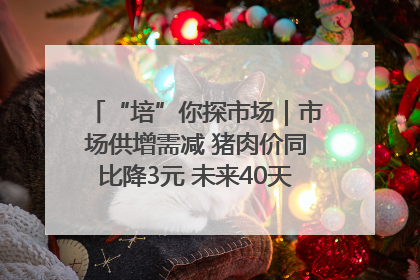 “培”你探市场｜市场供增需减 猪肉价同比降3元 未来40天便宜猪肉敞开吃