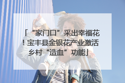 “家门口”采出幸福花！宝丰县金银花产业激活乡村“造血”功能