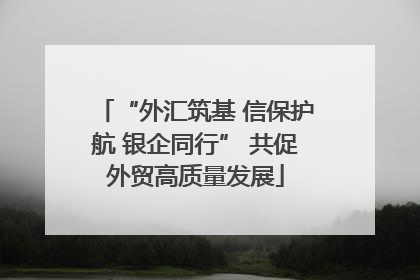 “外汇筑基 信保护航 银企同行” 共促外贸高质量发展