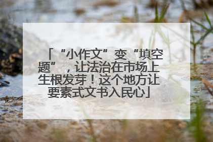 “小作文”变“填空题”，让法治在市场上生根发芽！这个地方让要素式文书入民心