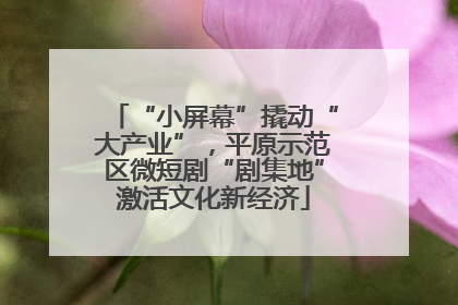 “小屏幕”撬动“大产业”，平原示范区微短剧“剧集地”激活文化新经济