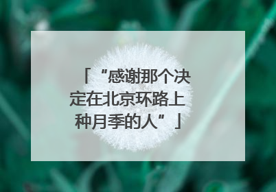 “感谢那个决定在北京环路上种月季的人”