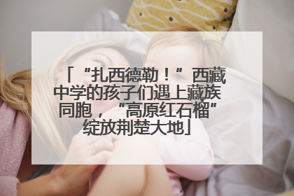 “扎西德勒！”西藏中学的孩子们遇上藏族同胞，“高原红石榴”绽放荆楚大地