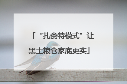 “扎赉特模式”让黑土粮仓家底更实
