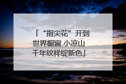 “指尖花”开到世界橱窗 小凉山千年纹样绽新色