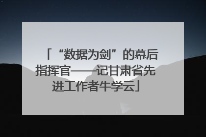 “数据为剑”的幕后指挥官——记甘肃省先进工作者牛学云
