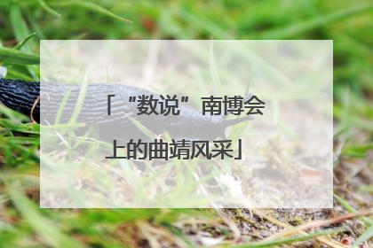 “数说”南博会上的曲靖风采