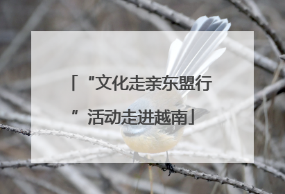 “文化走亲东盟行”活动走进越南