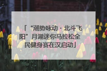 “潮势咏动・北斗飞阳”月湖迷你马拉松全民健身赛在汉启动