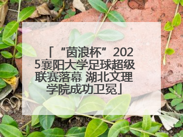 “茵浪杯”2025襄阳大学足球超级联赛落幕 湖北文理学院成功卫冕