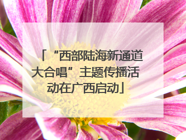 “西部陆海新通道大合唱”主题传播活动在广西启动