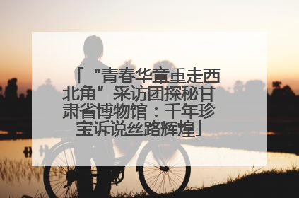 “青春华章重走西北角”采访团探秘甘肃省博物馆：千年珍宝诉说丝路辉煌