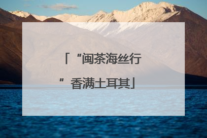 “闽茶海丝行”香满土耳其