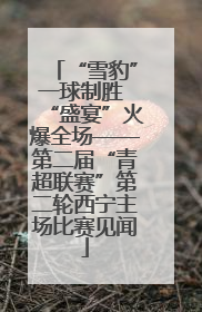 “雪豹”一球制胜 “盛宴”火爆全场——第二届“青超联赛”第二轮西宁主场比赛见闻