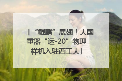 “鲲鹏”展翅！大国重器“运-20”物理样机入驻西工大