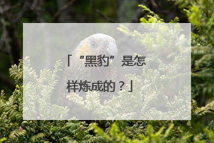 “黑豹”是怎样炼成的？