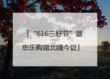 “616三好节”邀您乐购湖北嗨今夏