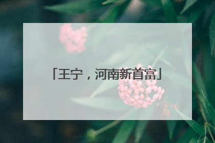 王宁，河南新首富