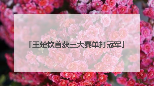 王楚钦首获三大赛单打冠军