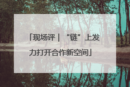 现场评｜“链”上发力打开合作新空间