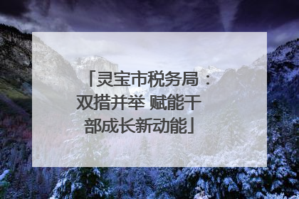 灵宝市税务局：双措并举 赋能干部成长新动能