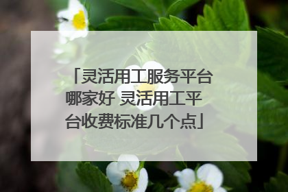 灵活用工服务平台哪家好 灵活用工平台收费标准几个点