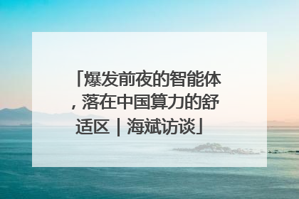 爆发前夜的智能体，落在中国算力的舒适区｜海斌访谈