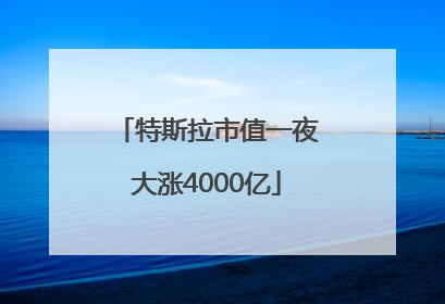 特斯拉市值一夜大涨4000亿