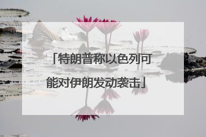 特朗普称以色列可能对伊朗发动袭击