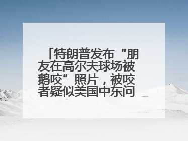 特朗普发布“朋友在高尔夫球场被鹅咬”照片，被咬者疑似美国中东问题特使