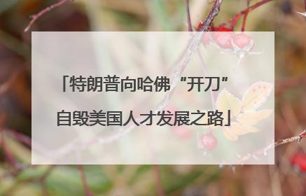 特朗普向哈佛“开刀” 自毁美国人才发展之路