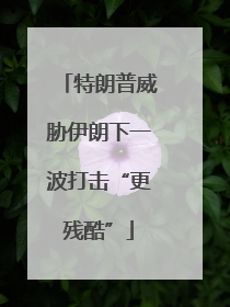 特朗普威胁伊朗下一波打击“更残酷”