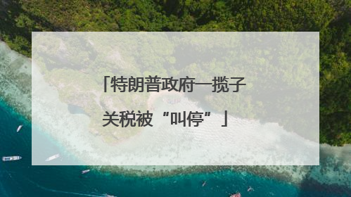 特朗普政府一揽子关税被“叫停”