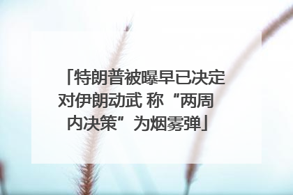 特朗普被曝早已决定对伊朗动武 称“两周内决策”为烟雾弹